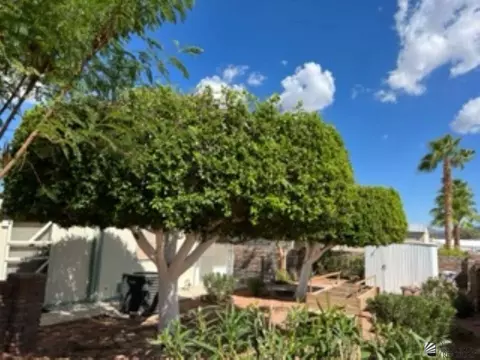 13489 E 45 Ln, Yuma, AZ 85367 photo 7