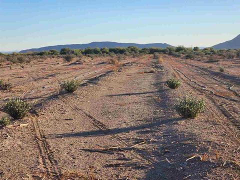 141-30007 County 17 St, Dateland, AZ 85333