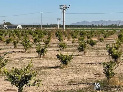 1 E Ave 1 E, Yuma, AZ 85365