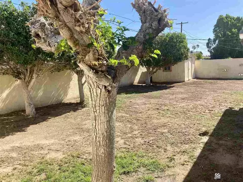 142 E 25 Pl, Yuma, AZ 85364 photo 14