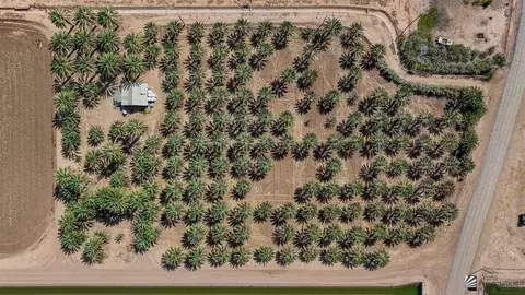1396 Flood Rd, Bard, CA 92283 photo 5