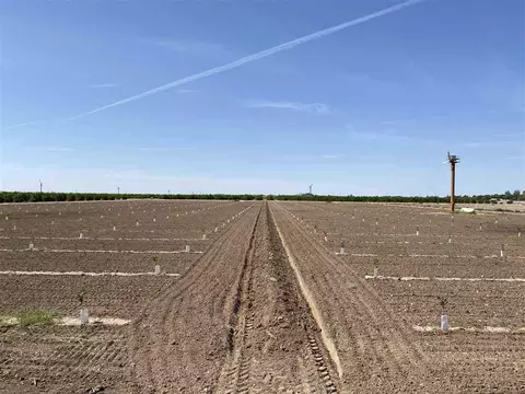 0000 W County 16 St, Somerton, AZ 85350
