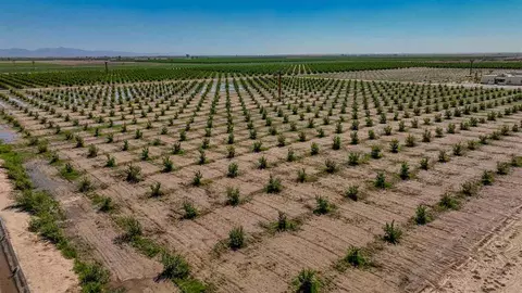 0000 W County 16 St, Yuma, AZ 85365
