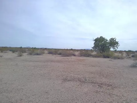 000000 E Ave 52 E, Dateland, AZ 85347 photo 13