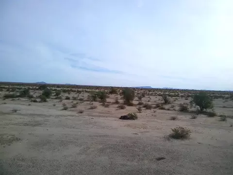 000000 E Ave 52 E, Dateland, AZ 85347 photo 5