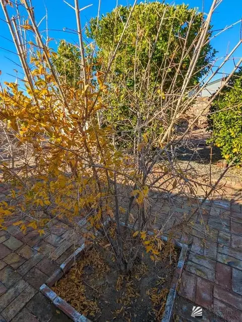 13198 E 47 Dr, Yuma, AZ 85367 photo 37