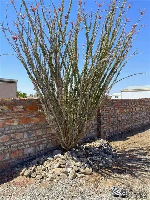 14459 E 28 Ln, Yuma, AZ 85367 photo 3