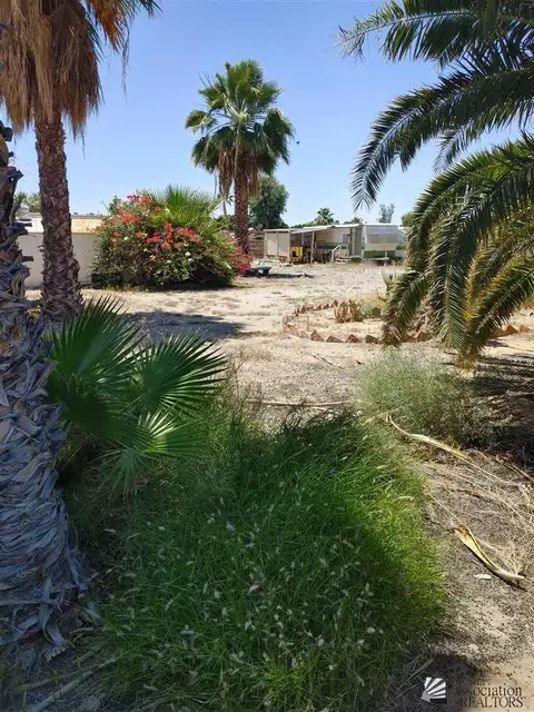 12727 E 35 St, Yuma, AZ 85367 photo 5