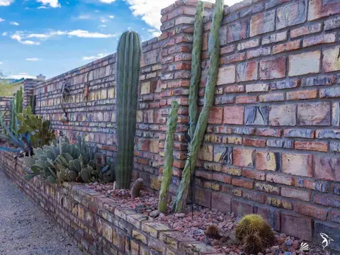 Exterior - 14193 E 50 St, Yuma, AZ 85367 photo 15 of 18