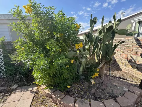 13408 E 49 Dr, Yuma, AZ 85367 photo 40