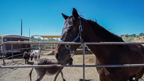 Other - 8671 E Bronco Rd, Yuma, AZ 85365 photo 5 of 8