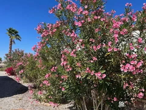 13123 E 45 Ln, Yuma, AZ 85367 photo 23