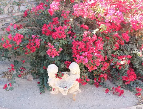 Exterior - 9633 E 33 St, Yuma, AZ 85365 photo 7 of 7