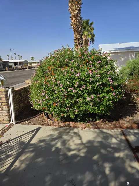 13262 E 50 St, Yuma, AZ 85367 photo 29