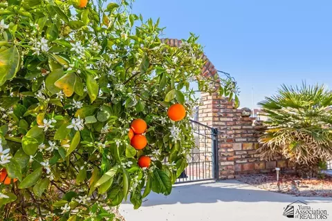 12640 E 46 St, Yuma, AZ 85367 photo 31