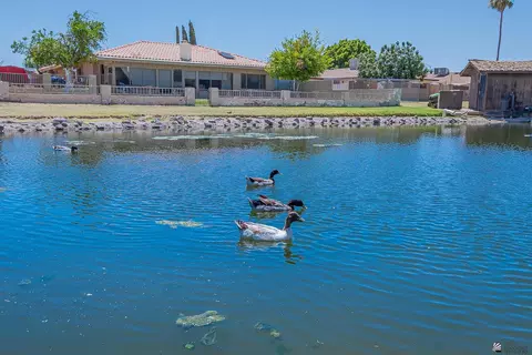 1931 Paris Ct, Yuma, AZ 85364