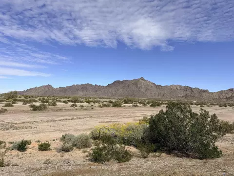 49455 Old Hwy 80, Roll, AZ 85352 photo 8