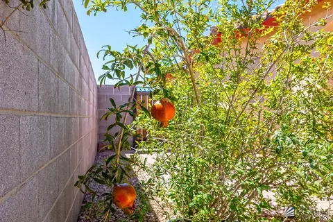 Exterior - 5276 E 33 Ln, Yuma, AZ 85365 photo 8 of 8