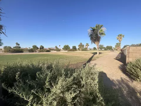 29837 E Mountain View Ave, Wellton, AZ 85356