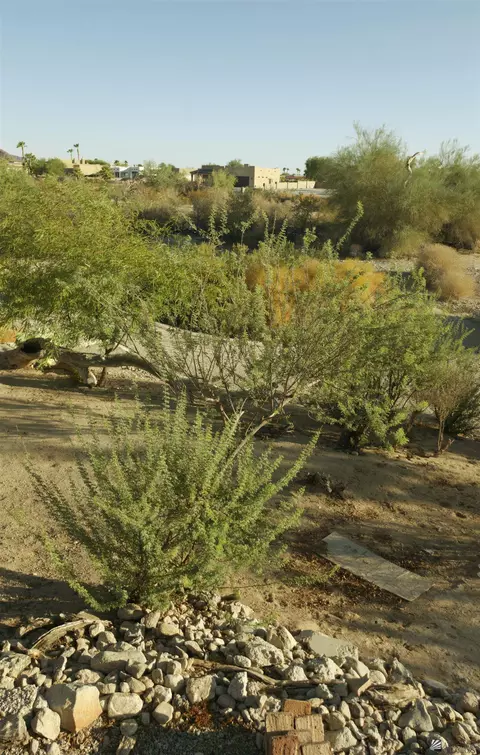 Other - 14593 E 50 St, Yuma, AZ 85367 photo 8 of 8