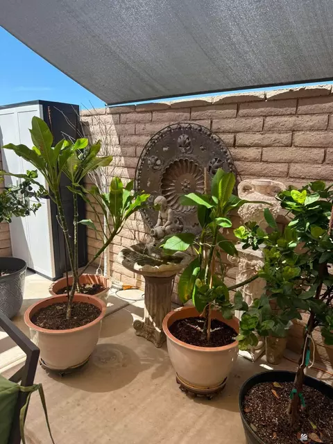Exterior - 653 E 25 St, Yuma, AZ 85365 photo 9 of 11