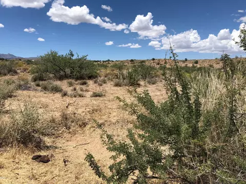5809 Windmill Rd, Kingman, AZ 86401 photo 15