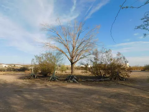 44159 Vaserhely Rd, Bouse, AZ 85325 photo 23