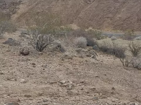 4651 Beach Dr, Topock, AZ 86436 photo 10