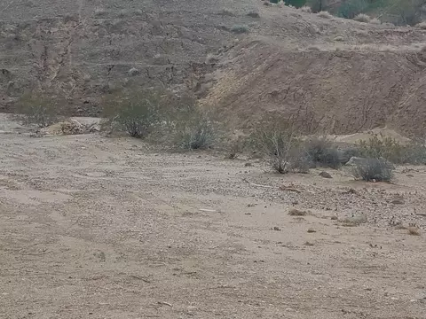 4651 Beach Dr, Topock, AZ 86436 photo 8