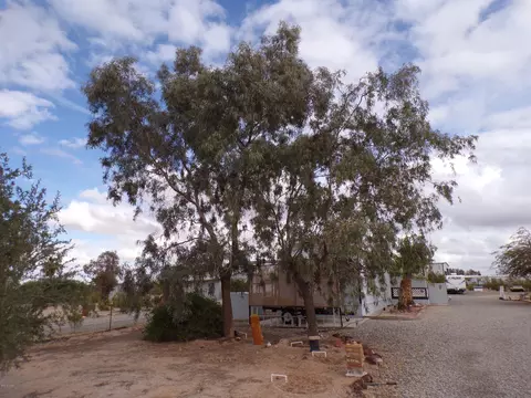 25533 Ochoco Way, Bouse, AZ 85325 photo 2