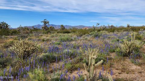 2076 S Cheyenne Rd, Yucca, AZ 86438