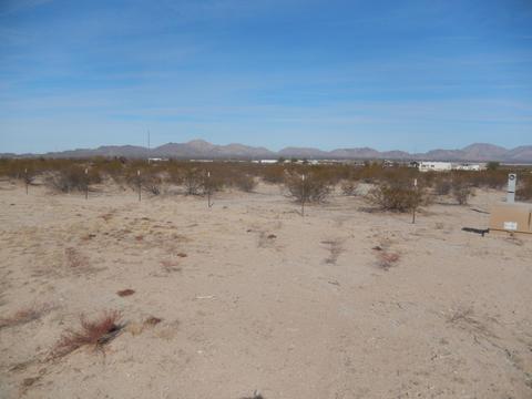 55649 Cactus St, Salome, AZ 85348