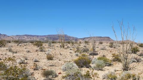 Lot 55 W Navaho Dr, Yucca, AZ 86438