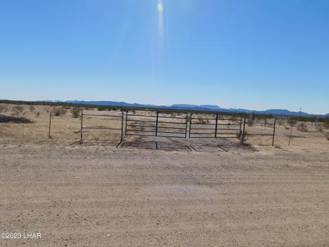 49082 Bald Eagle, Bouse, AZ 85325 photo 1