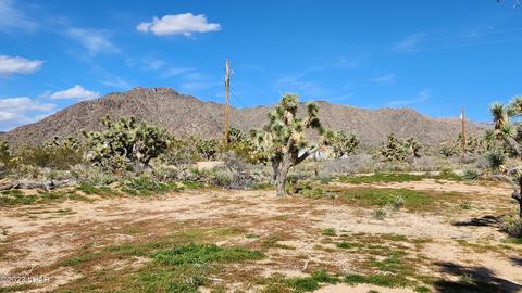 000 S Dennis Rd, Yucca, AZ 86438