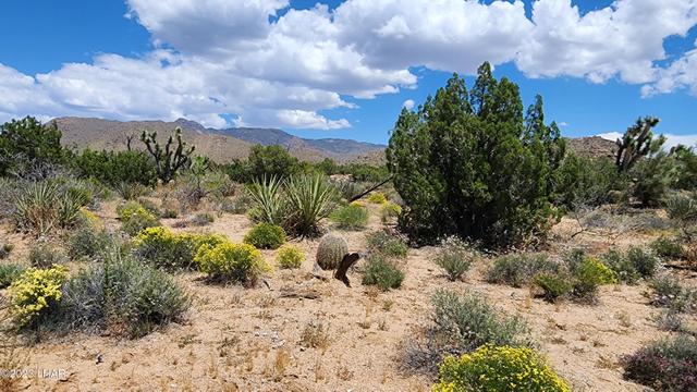 101 S Gunsmoke Rd, Yucca, AZ 86438