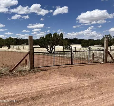 54404 N Castano Rd, Seligman, AZ 86337