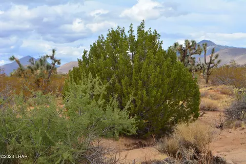 2652 S Diamondback Rd, Yucca, AZ 86438