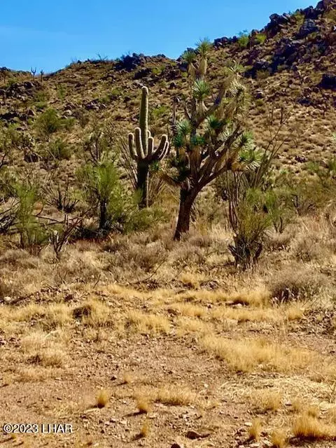 8027 E Saguaro Dr, Yucca, AZ 86438