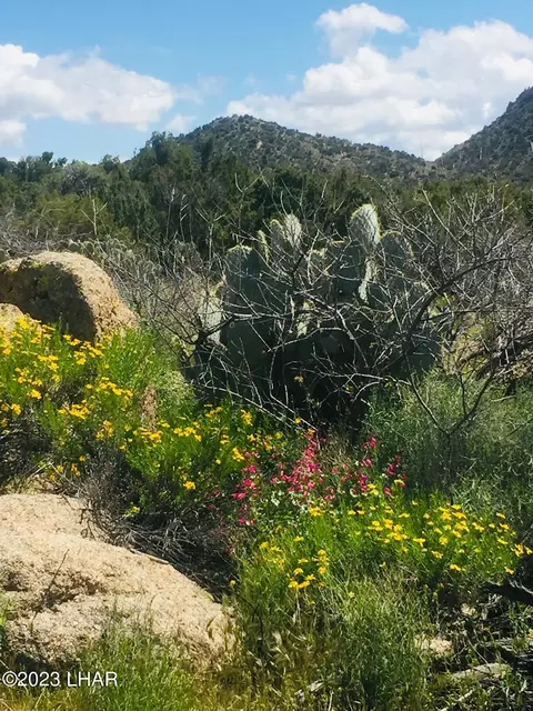 141 E Arroyo Vista Dr, Yucca, AZ 86438