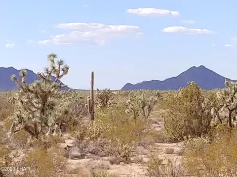 2560 E Sundown Dr, Yucca, AZ 86438 photo 3