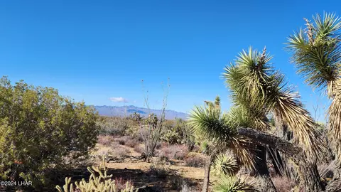 2560 E Sundown Dr, Yucca, AZ 86438 photo 32