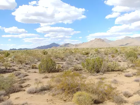 2560 E Sundown Dr, Yucca, AZ 86438 photo 22
