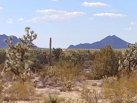 2560 E Sundown Dr, Yucca, AZ 86438 photo 20