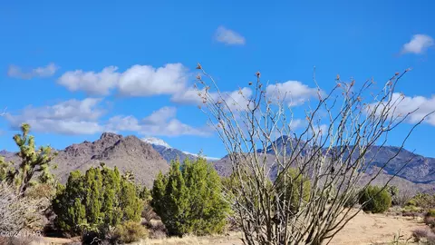 2560 E Sundown Dr, Yucca, AZ 86438