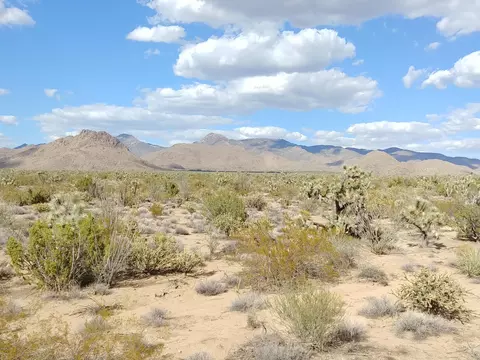 2560 E Sundown Dr, Yucca, AZ 86438 photo 14