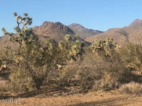 2560 E Sundown Dr, Yucca, AZ 86438 photo 11