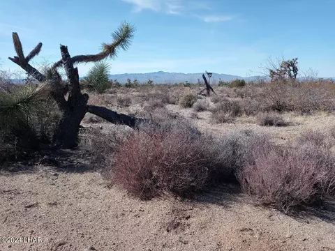 Parcel 439 S Tom Mix Road, Yucca, AZ 86438