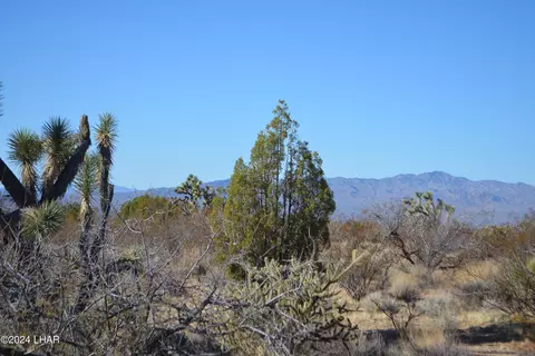 127 S Diamondback Rd, Yucca, AZ 86438