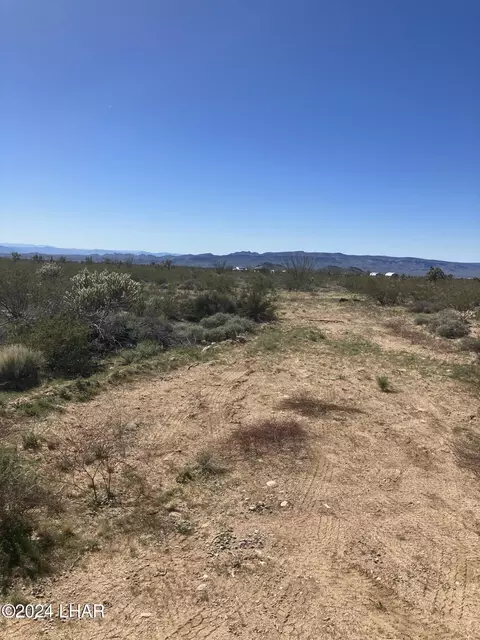 6 Rutz Rd, Yucca, AZ 86438